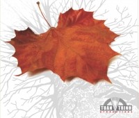 Ca sĩ Đà Nẵng hát nhạc Phú Quang